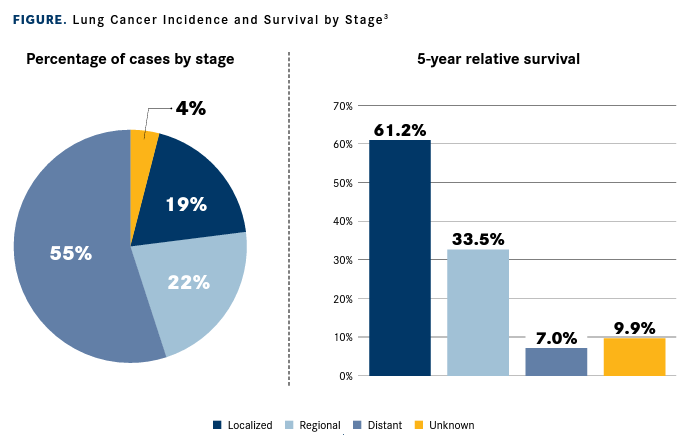 Figure. Lung Cancer Incidence and Survival by Stage