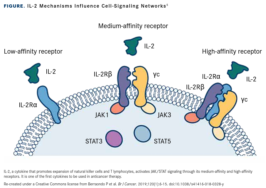 Figure. IL-2 Mechanisms Influence Cell-Signaling Networks