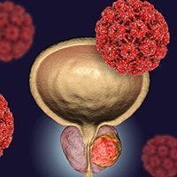 Niraparib was found to maintain or improve health-related quality of life in patients with advanced or metastatic castration-resistant prostate cancer, according to data from the final analysis of the phase 2 GALAHAD trial.