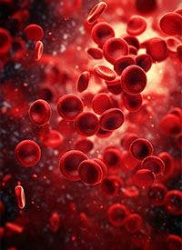 Red blood cell | - stock.adobe.com