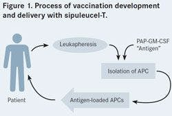 Figure 1. Process of vaccination development and delivery with sipuleucel-T.