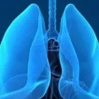  D-0316 Shows Encouraging Efficacy in EGFR T790M+ NSCLC Subsets