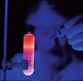 purified DNA under UV light