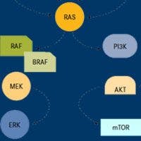 BRAF Emerges as Exploitable Target in NSCLC