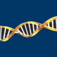 Genome Sequencing Studies Shake Up Views on the Cancer Mutation Landscape