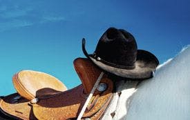 cowboy hat on horse