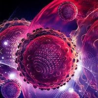 Until now, the field of cell-based immunotherapy has been dominated by chimeric antigen receptor (CAR) T cells, with groundbreaking FDA approvals for 3 drugs across several types of hematologic malignancies. In solid tumors, however, CAR T-cell therapies have yet to gain ground.