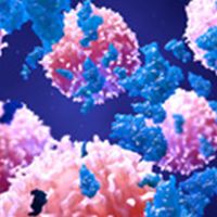 Camrelizumab Plus Nab-Paclitaxel Showcases Antitumor Activity in Platinum-Resistant Urothelial Carcinoma