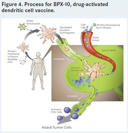 Figure 4. Process for BPX-10, drug-activated dendritic cell vaccine.