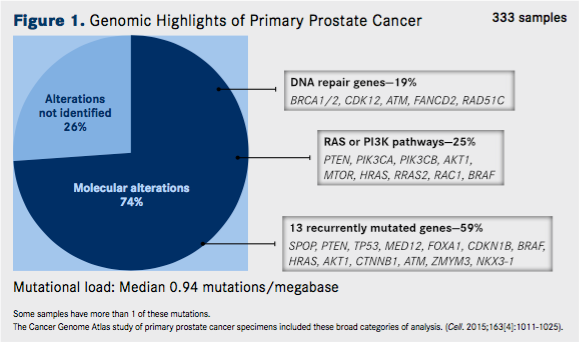 Genomic Highlights of Primary Prostate Cancer