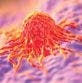 Evidence Builds for Tumor Mutational Burden as Immunotherapy Biomarker