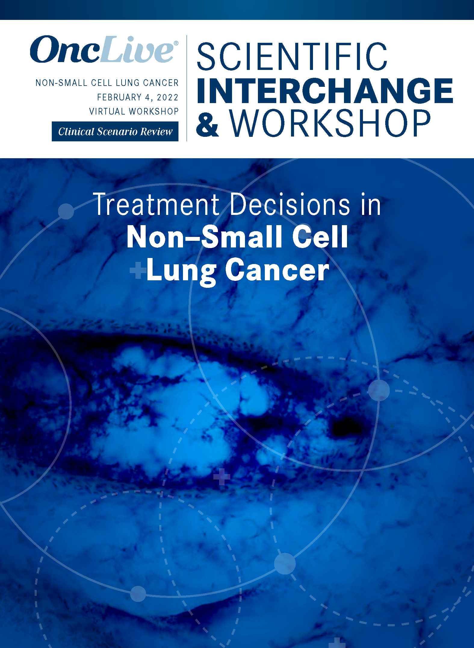 Treatment Decisions in Non–Small Cell Lung Cancer