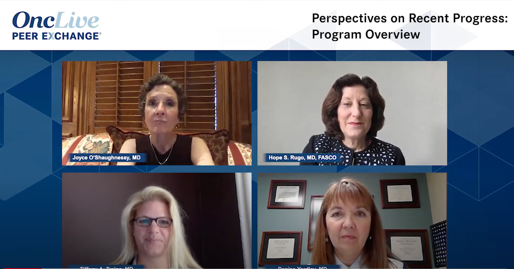 Perspectives on Recent Progress: Program Overview