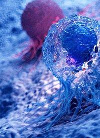 Jumping Genes in Cancer Cells Open Door to New Immunotherapies: © SciePro - stock.adobe.com