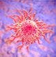 Cemiplimab Shows Strong Activity in Pivotal Basal Cell Carcinoma Trial