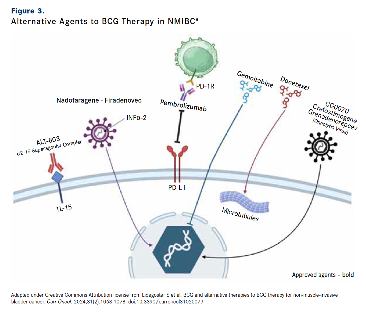 Figure 3. Alternative Agents to BCG Therapy in NMIBC8