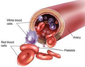Illustration of Blood components