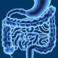 Trastuzumab Deruxtecan Upholds 40% Improvement in OS in HER2+ Advanced Gastric/GEJ Cancer