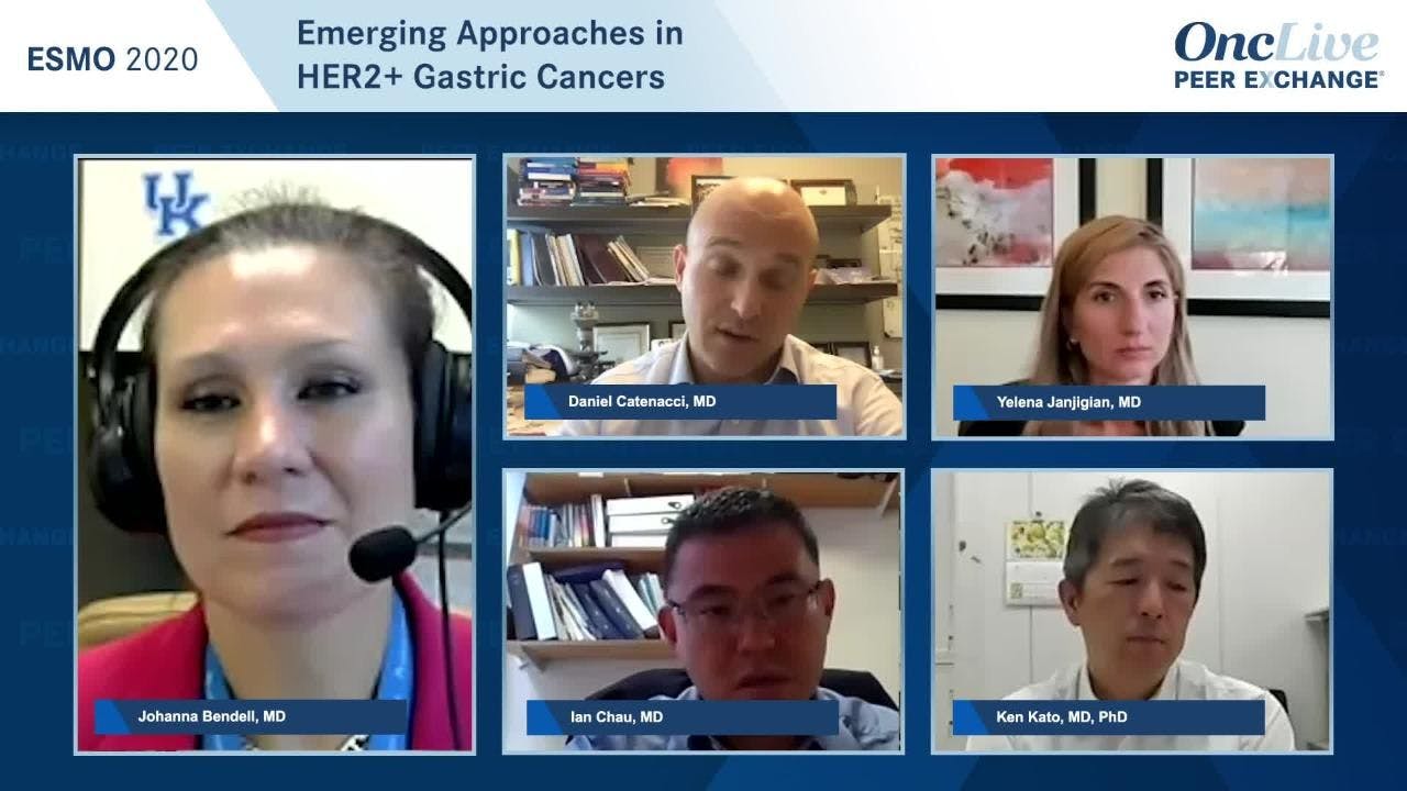 Emerging Approaches in HER2+ Gastric Cancers