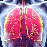 Weekly Webinar Series Part 6: Managing Lung Cancer Patients Through the COVID-19 Pandemic