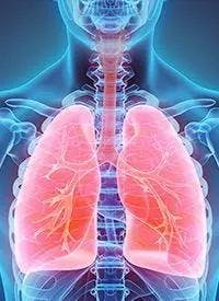 non–small cell lung cancer |   Image Credit: © yodiyim   - stock.adobe.com