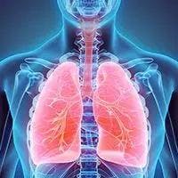 non–small cell lung cancer |   Image Credit: © yodiyim   - stock.adobe.com