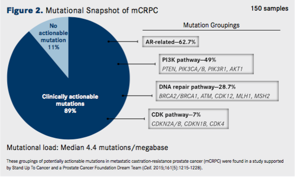 Mutational Snapshot of mCRPC