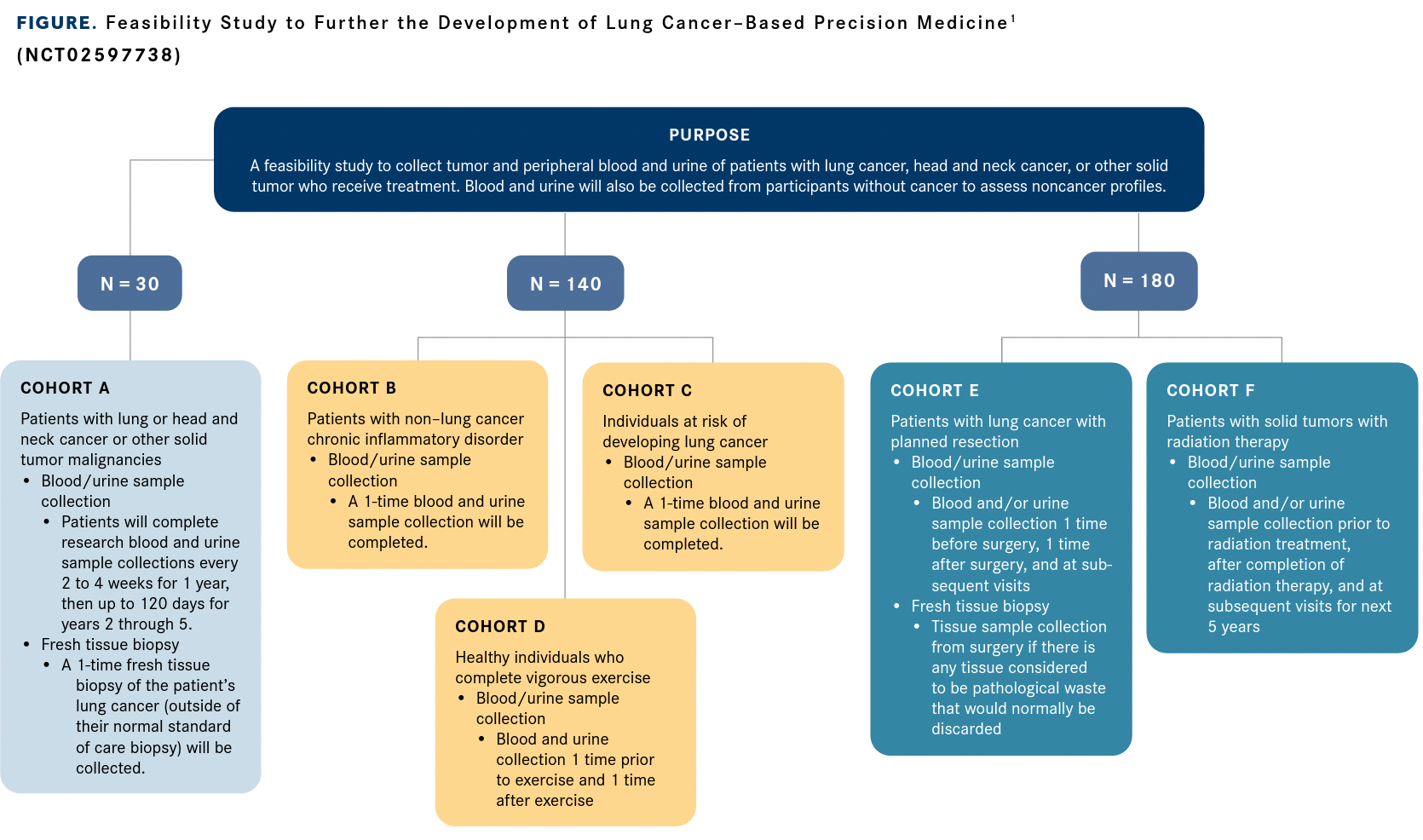 FIGURE.  Feasibility Study to Further the Development of Lung Cancer–Based Precision Medicine1 (NCT02597738)