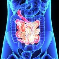 The addition of pembrolizumab to chemotherapy resulted in a significant and clinically meaningful improvement in overall survival, progression-free survival, and objective response rate vs chemotherapy alone when used as first-line treatment in patients with advanced HER2-negative gastric or gastroesophageal junction adenocarcinoma.
