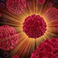 Liso-Cel/Ibrutinib Combo Improves Efficacy in Relapsed/Refractory CLL