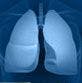 Role of Anti-PD-1 / PD-L1 Immunotherapy in Lung Cancer