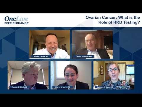 Ovarian Cancer: What is the Role of HRD Testing? 