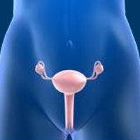 Endometrial Cancer Survivors at High Risk for Cardiotoxicity