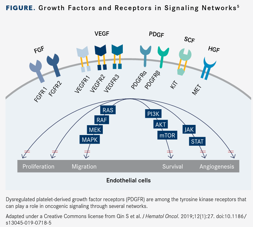 Growth Factors and Receptors in Signaling Networks