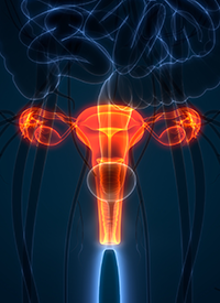 Pembrolizumab Plus Lenvatinib for Endometrial Cancer © magicmine - stock.adobe.com