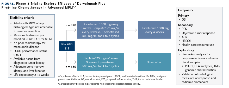 Figure. Phase 3 Trial to Explore Efficacy of Durvalumab Plus First-line Chemotherapy in Advanced MPM5,6