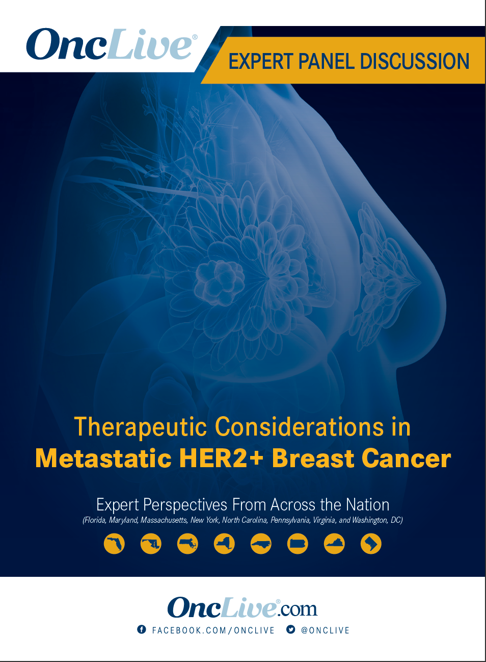 Therapeutic Considerations in Metastatic HER2+ Breast Cancer: Part 2