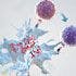 Novel Oncolytic Virus Effective in Melanoma