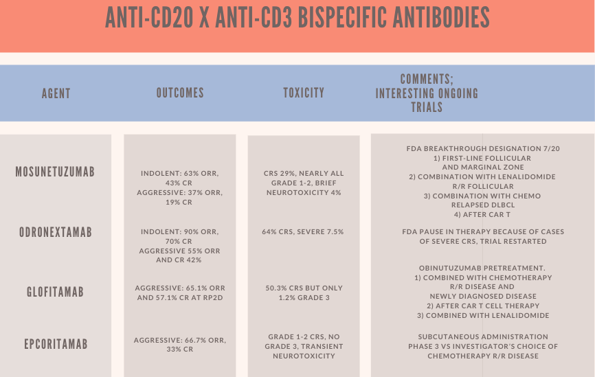 Anti-CD20 X Anti-CD3 Bispecific antibodies