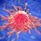 Adjuvant Trastuzumab Benefit Elucidated in Small HER2-Positive Breast Cancer