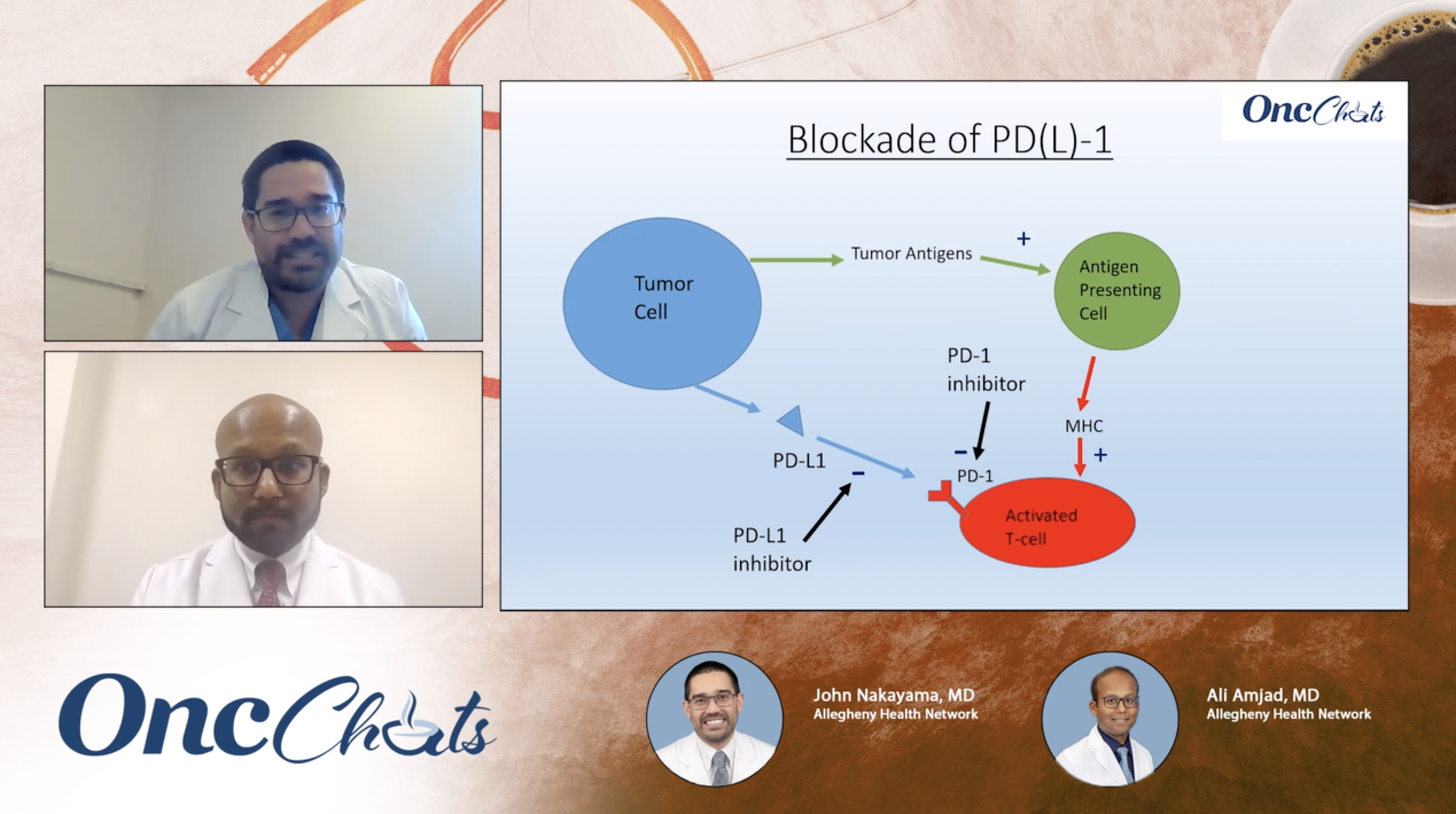 Immunotherapy and You: Understanding the PD-L1 Blockade 