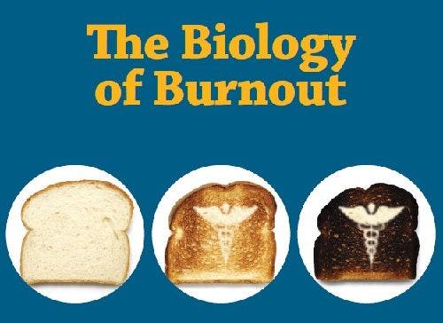 The Biology of Burnout