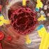 Targeted Therapy Challenges:More Cancer Genes Discovered, Mutational Burdens Defined