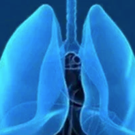 Frontline Domvanalimab-Based Combos Elicit Encouraging ORRs in PD-L1–High NSCLC