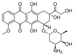 Adriamycin molecule