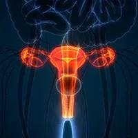 Ovarian Cancer | Image Credit: © magicmine - stock.adobe.com