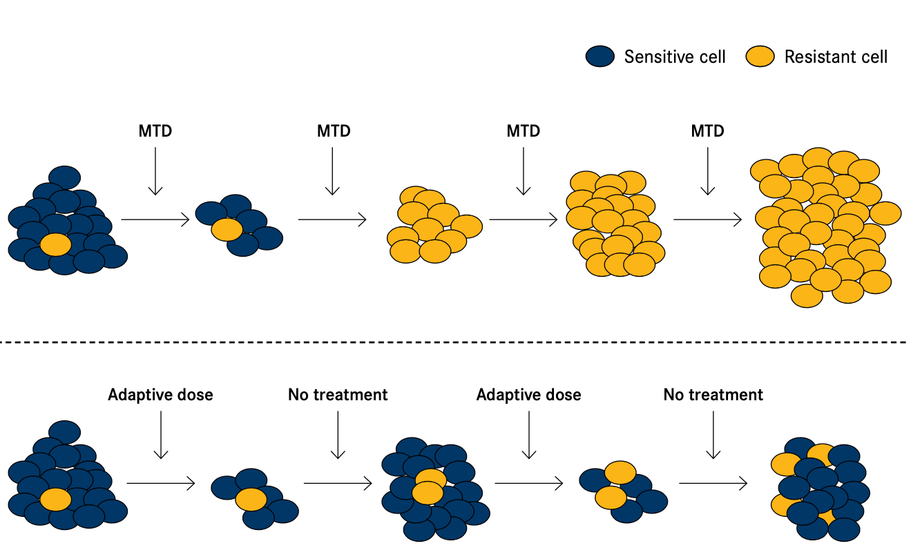 Figure. Evolution of Cancer Cell Population in Standard Versus Adaptive Dosing