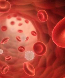 The rolling submission of a new drug application has been completed and submitted to the FDA to support the approval of pacritinib as a treatment for patients with myelofibrosis and severe thrombocytopenia defined as having platelet counts less than 50 x 109/L.