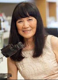 Selina Chen-Kiang, PhD