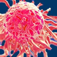Assays Break New Ground in Oncology